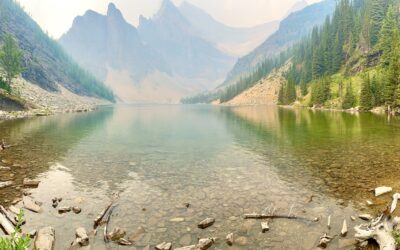 When in Doubt – The Value of a Second Opinion